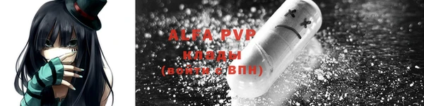 мяу мяу мука Абаза