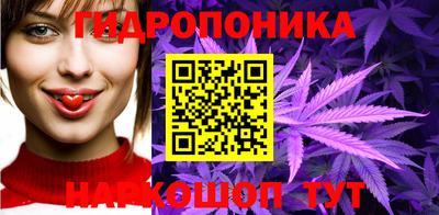 СК Лесосибирск