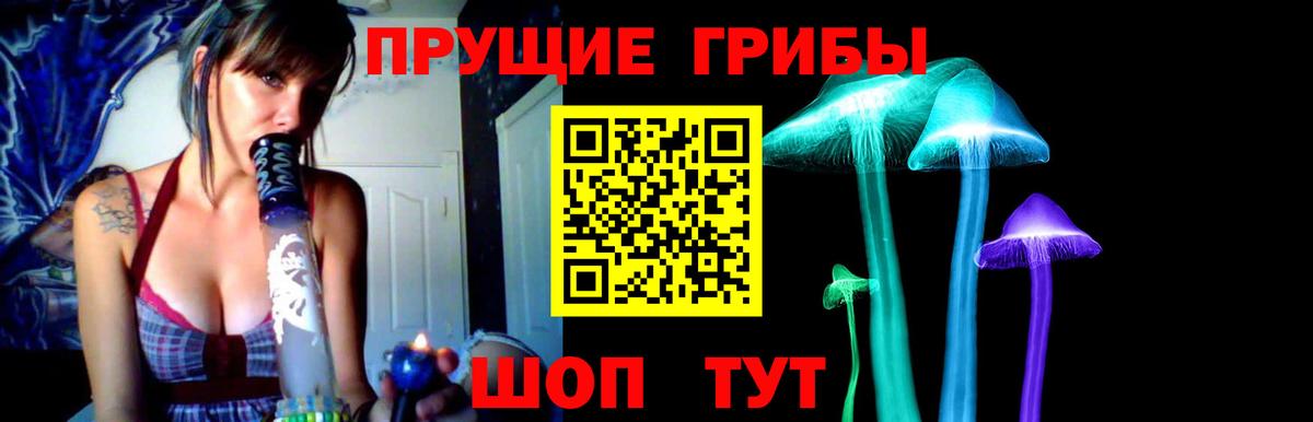 что такое наркотик  Псилоцибиновые грибы ЛСД  Вход с VPN  Псилоцибиновые грибы Psilocybe  Златоуст 